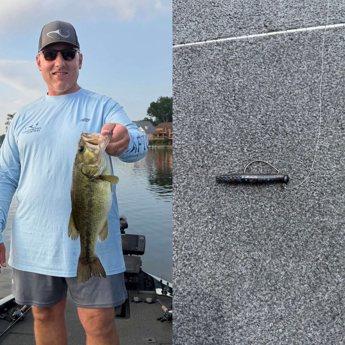 2.75' Ned Rig - 6 Pack