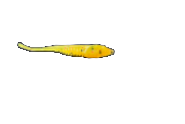 2’ Cropduster - 10 Pack