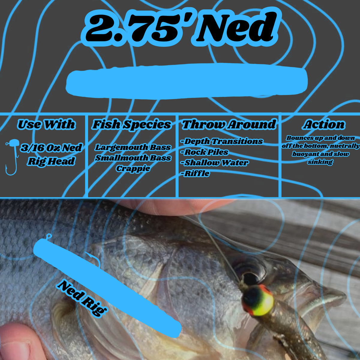 2.75' Ned Rig - 6 Pack